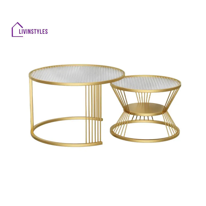 Pranavi Stainless Steel and Fluted Glass Top Coffee Table for Living Room