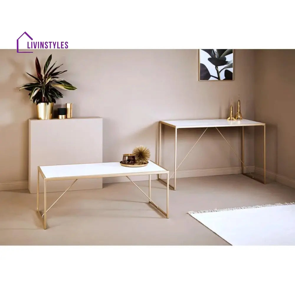 Preeti Stainless Steel Coffee Table for Living Room