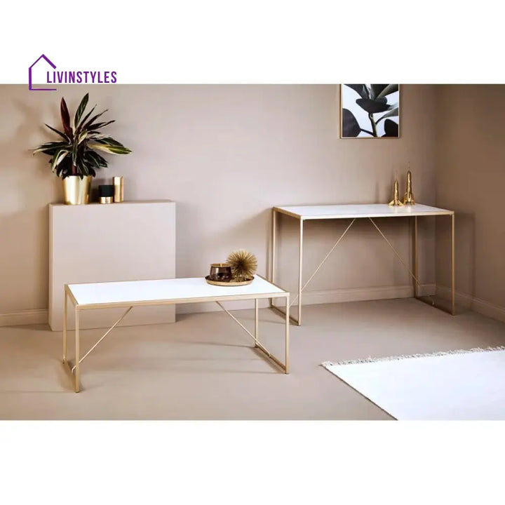 Preeti Stainless Steel Coffee Table for Living Room