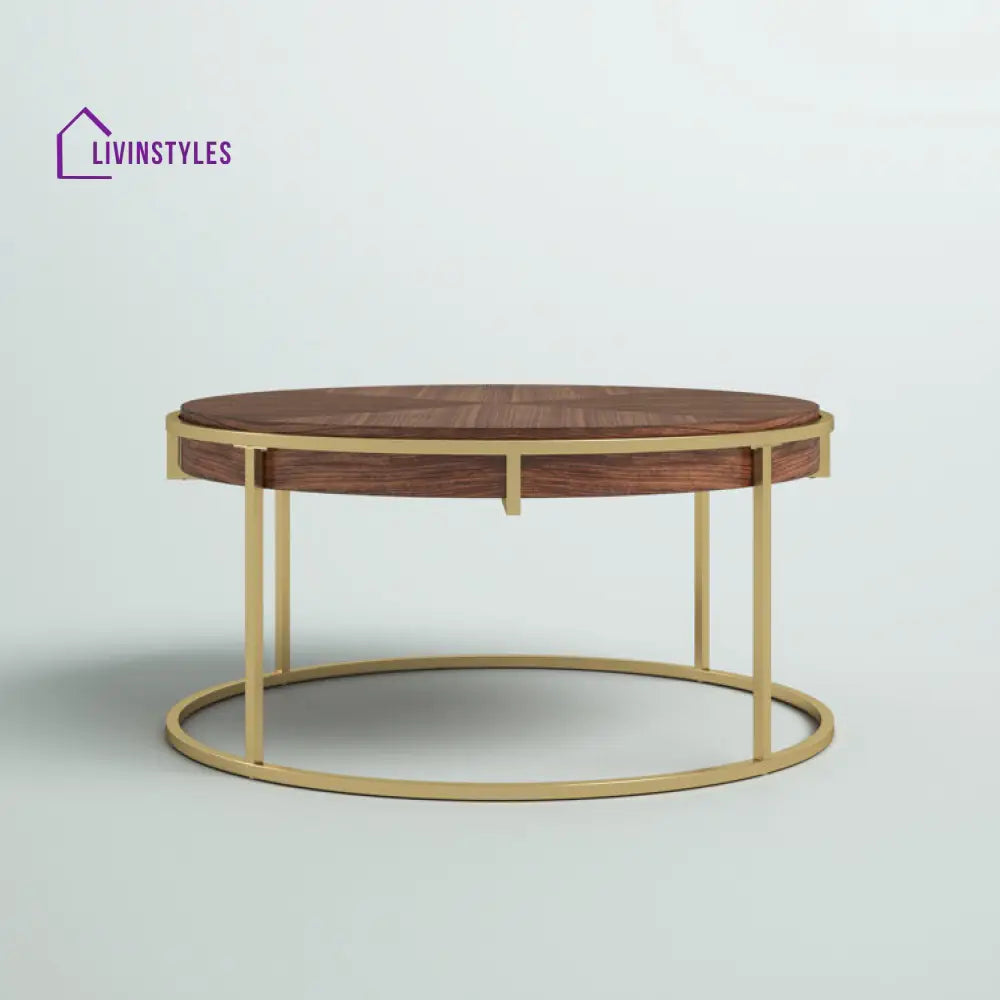 Priya Stainless Steel and Wooden Top Coffee Table for Living Room