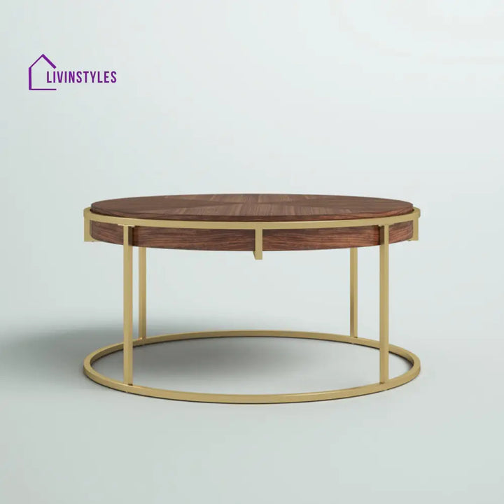 Priya Stainless Steel and Wooden Top Coffee Table for Living Room