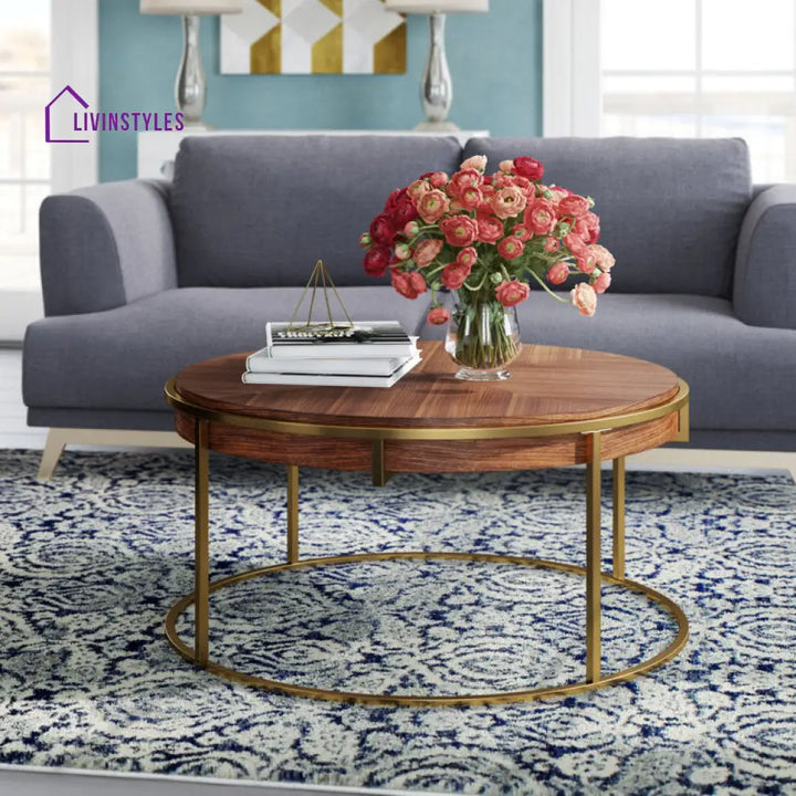 Priya Stainless Steel and Wooden Top Coffee Table for Living Room