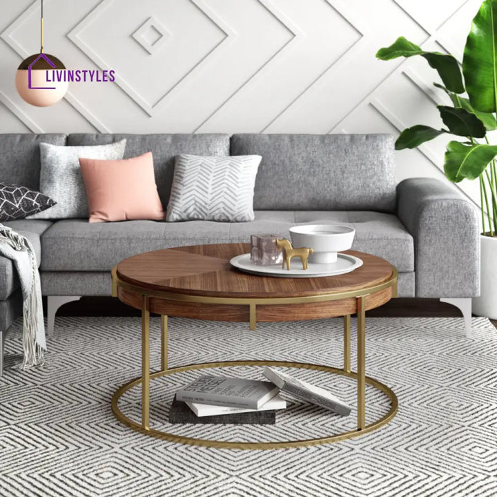 Priya Stainless Steel and Wooden Top Coffee Table for Living Room
