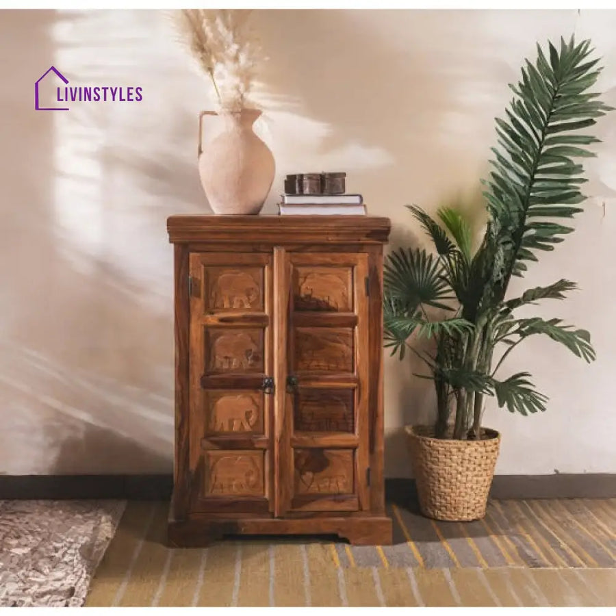 Raghav Gajraj Cabinet 60x35x90 CM | Book Storage (Honey Finish)