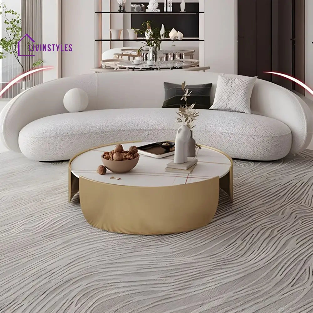 Ranya Stainless Steel Coffee Table for Living Room
