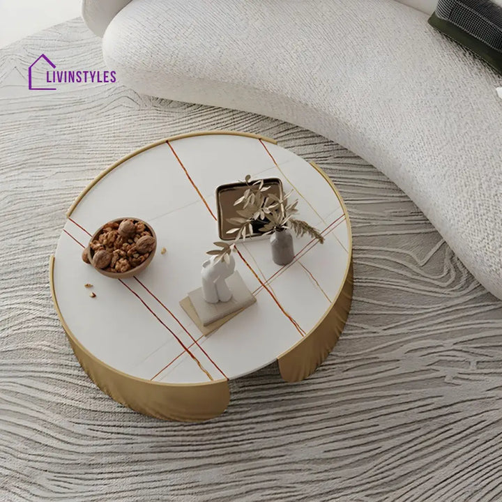 Ranya Stainless Steel Coffee Table for Living Room