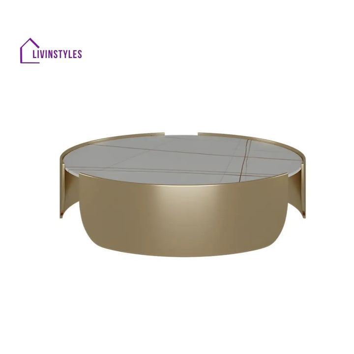 Ranya Stainless Steel Coffee Table for Living Room