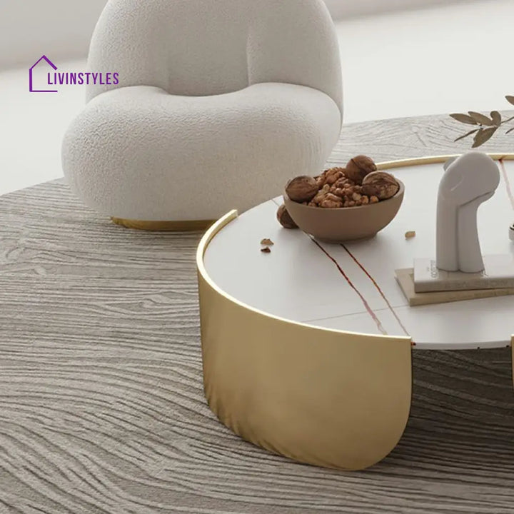Ranya Stainless Steel Coffee Table for Living Room