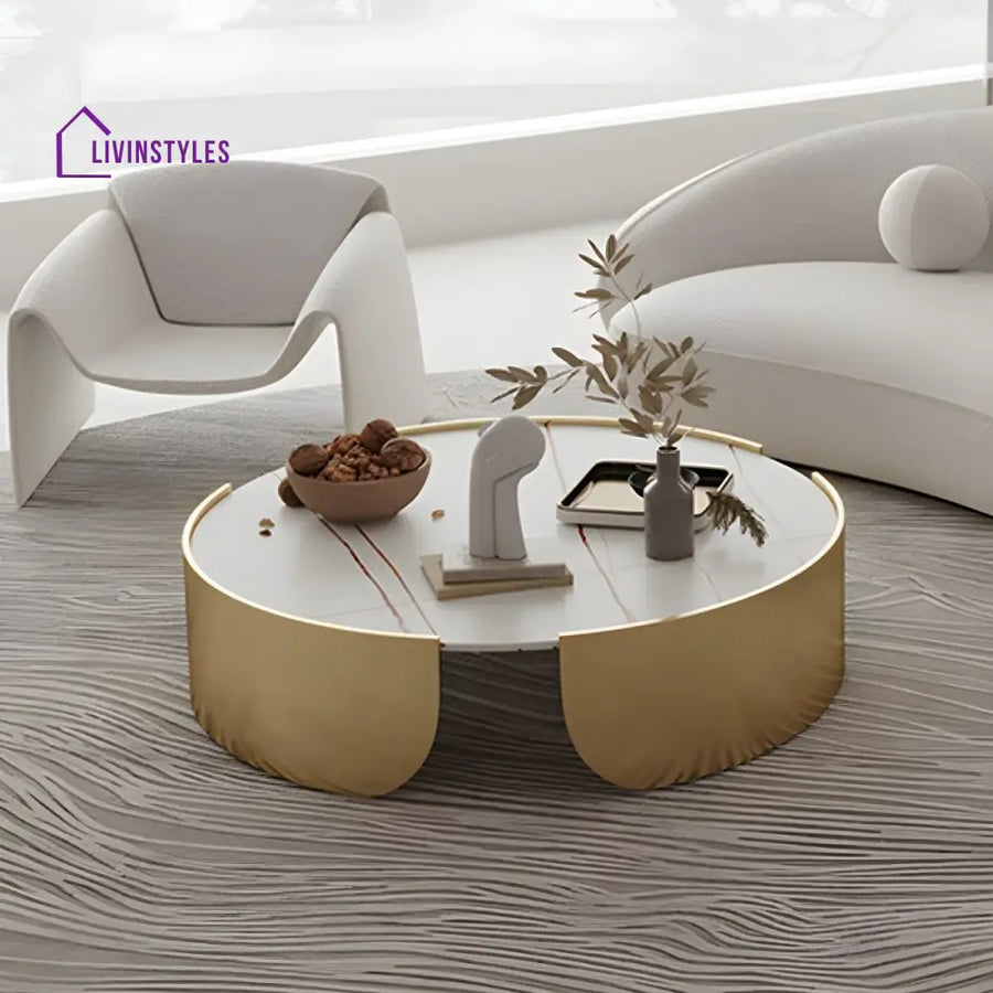 Ranya Stainless Steel Coffee Table for Living Room