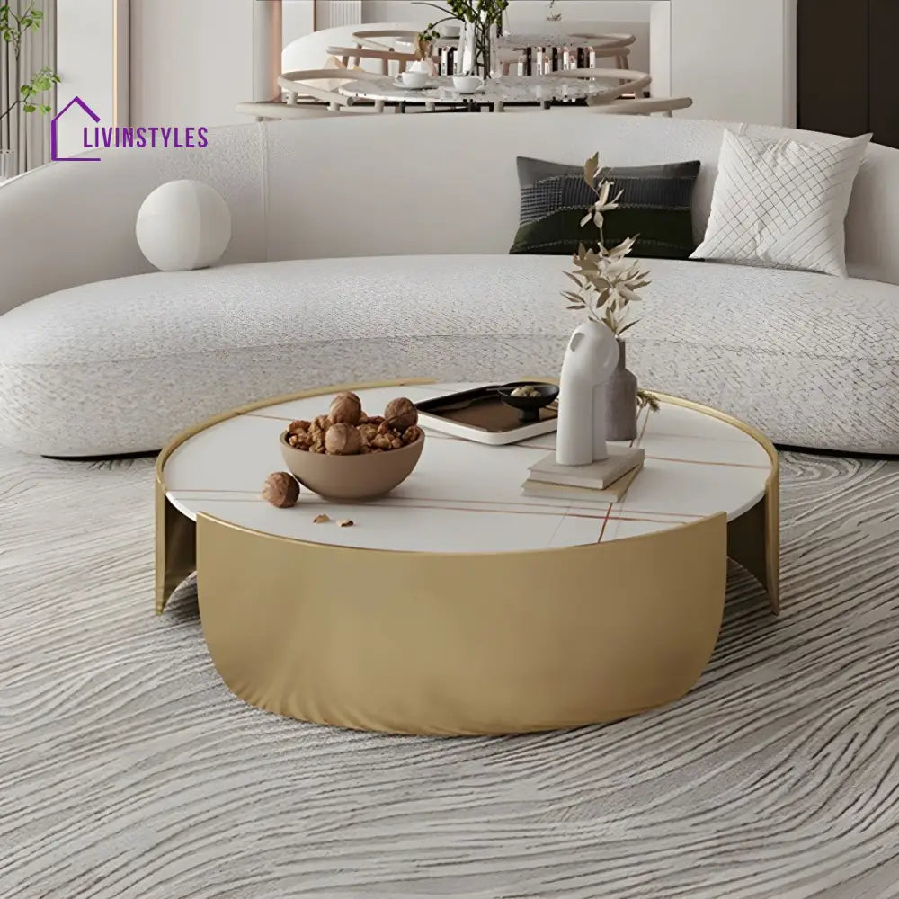 Ranya Stainless Steel Coffee Table for Living Room