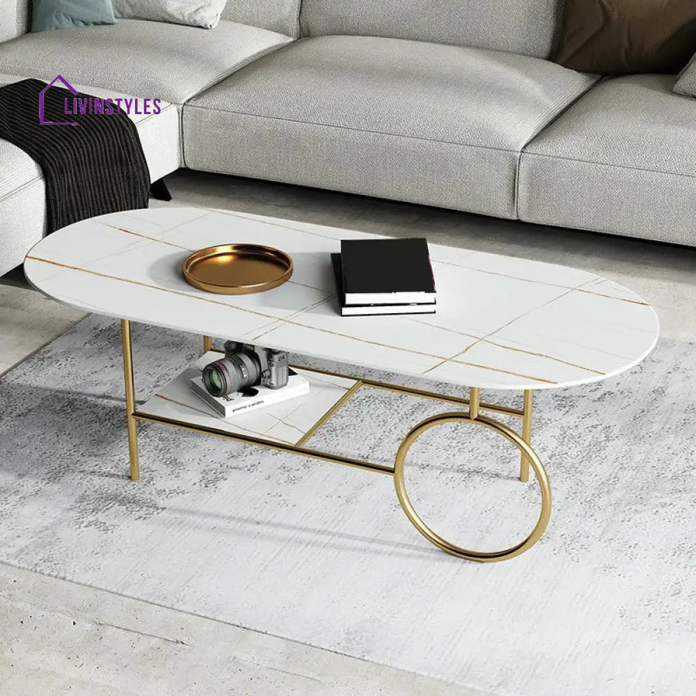 Ranya Stainless Steel Frame Coffee Table for Living Room