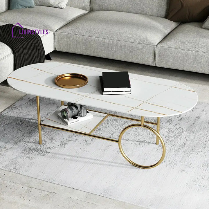 Ranya Stainless Steel Frame Coffee Table for Living Room