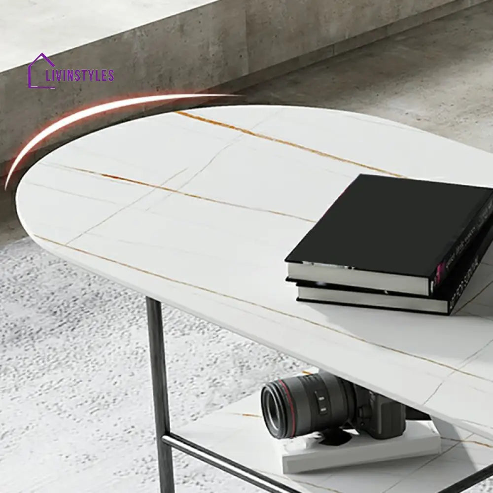 Ranya Stainless Steel Frame Coffee Table for Living Room