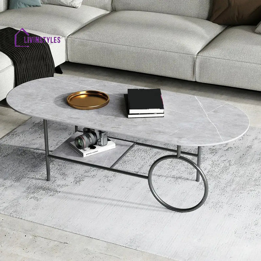 Ranya Stainless Steel Frame Coffee Table for Living Room