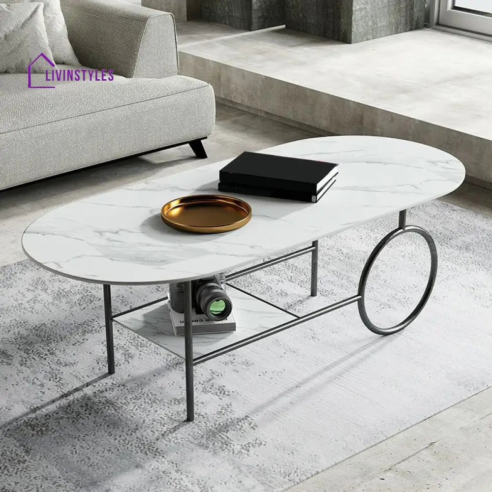 Ranya Stainless Steel Frame Coffee Table for Living Room