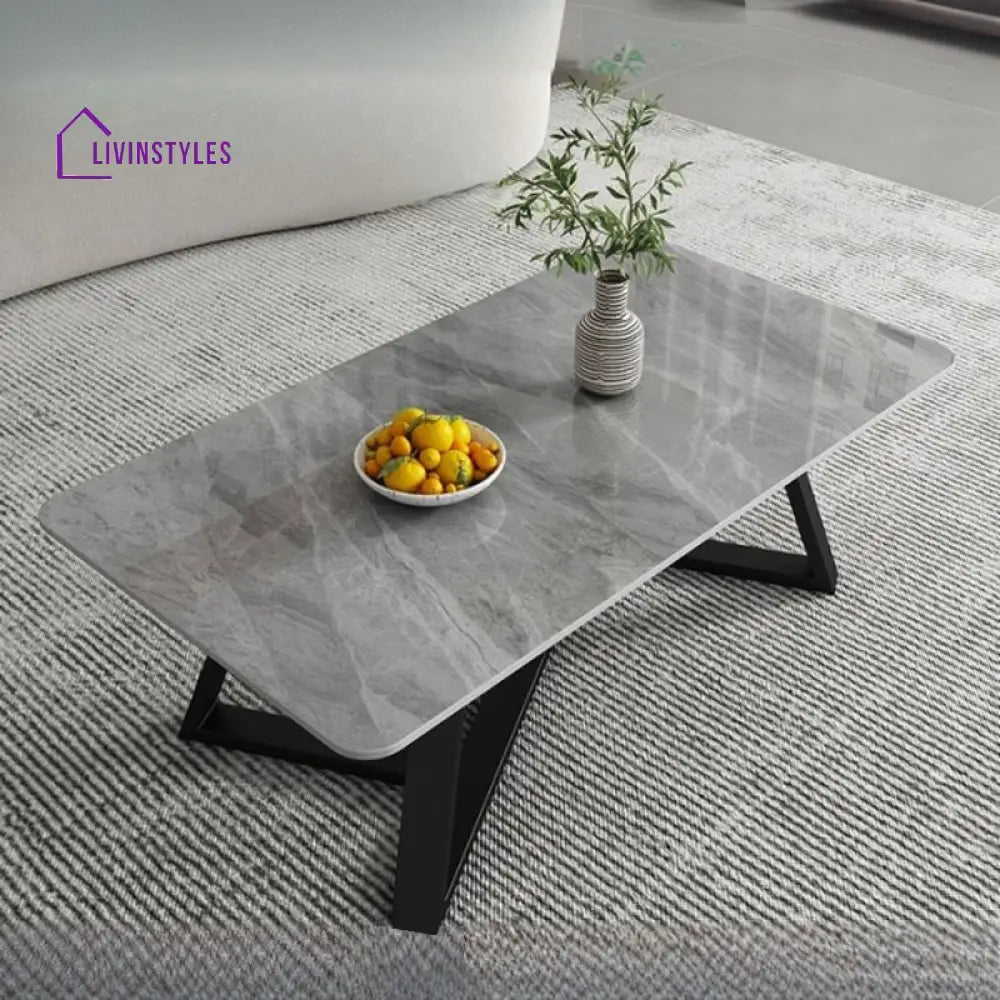 Regalia Stainless Steel Coffee Table for Living Room | Rectangle Shape | Composite Ceramic Marble