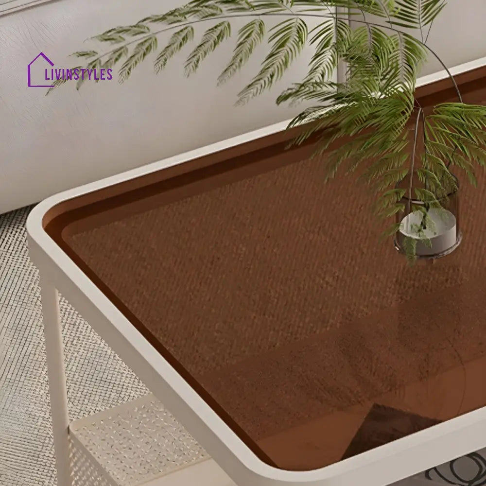 Revanth Stainless Steel Coffee Table for Living Room