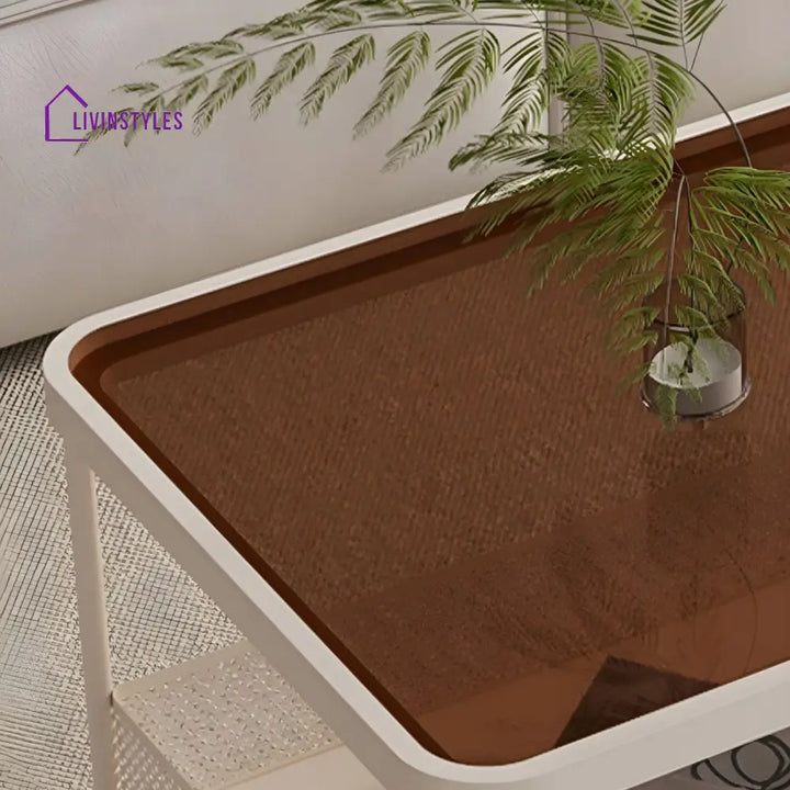 Revanth Stainless Steel Coffee Table for Living Room