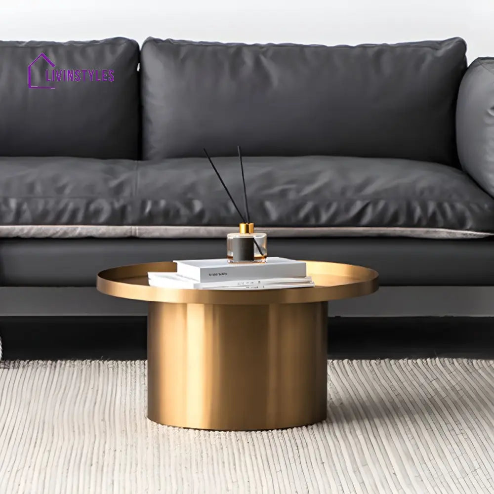Reyansh Stainless Steel Frame Coffee Table for Living Room