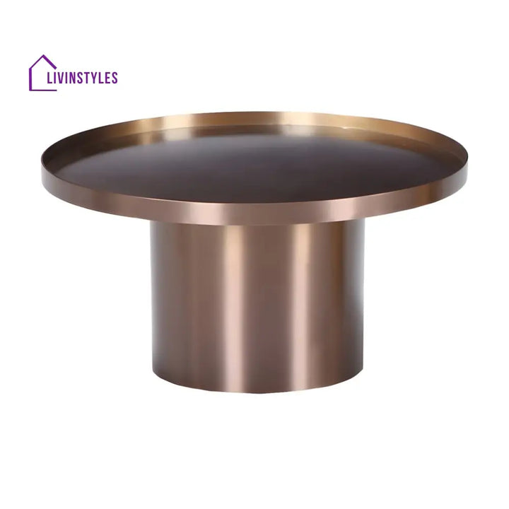 Reyansh Stainless Steel Frame Coffee Table for Living Room
