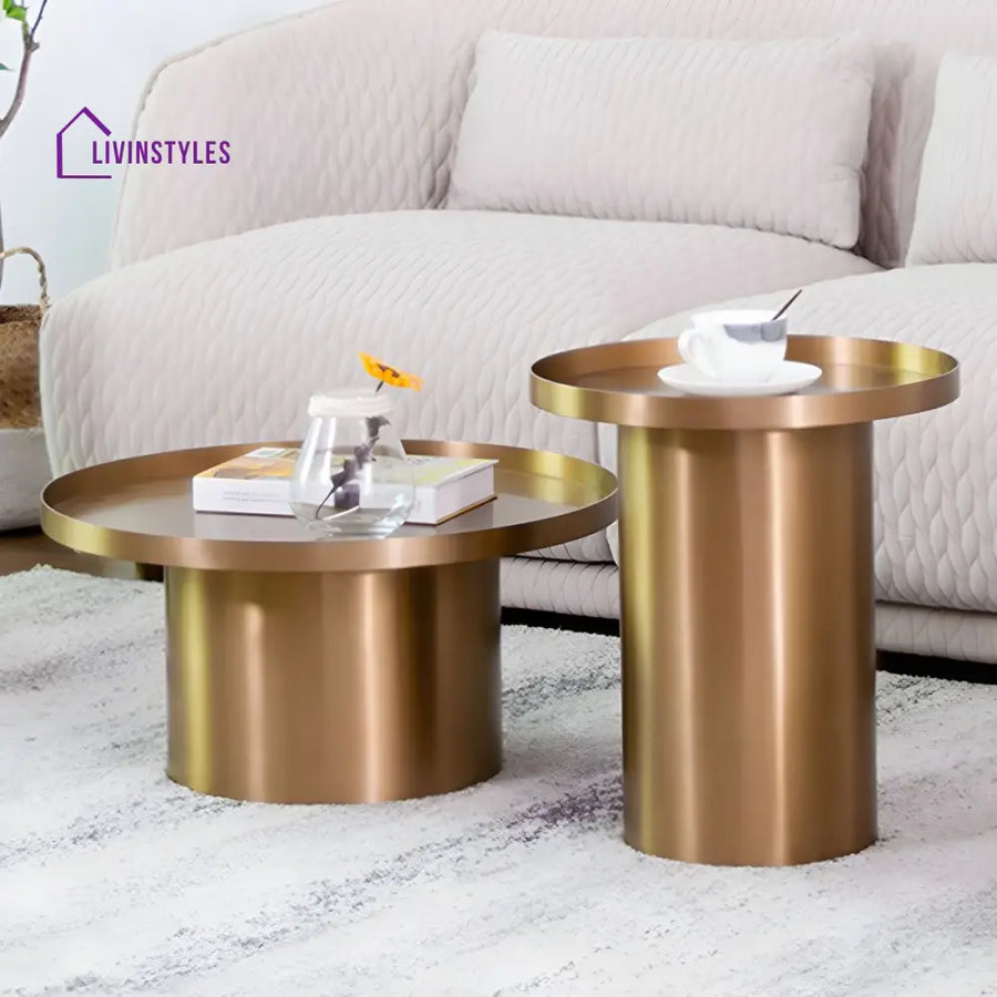 Reyansh Stainless Steel Frame Coffee Table for Living Room
