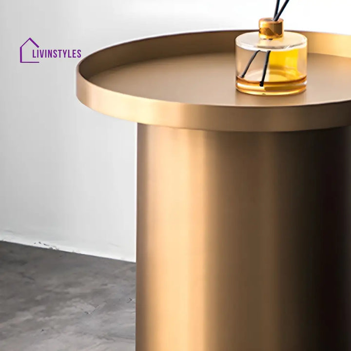 Reyansh Stainless Steel Frame Coffee Table for Living Room