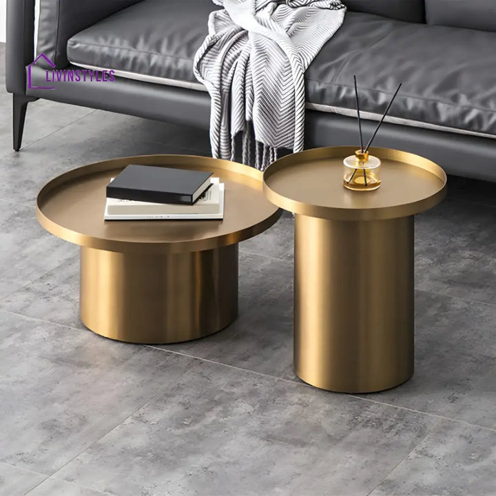 Reyansh Stainless Steel Frame Coffee Table for Living Room
