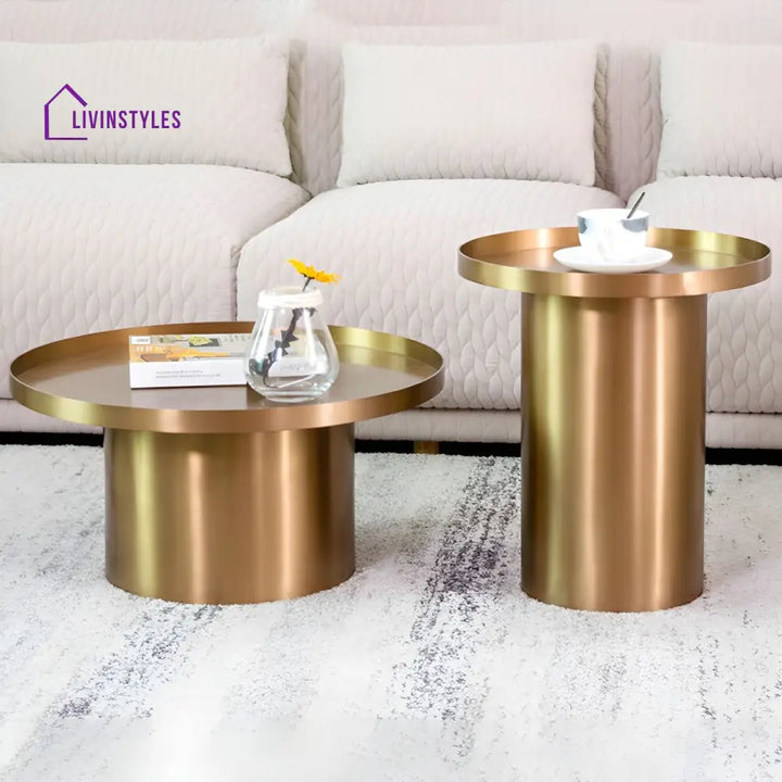 Reyansh Stainless Steel Frame Coffee Table for Living Room