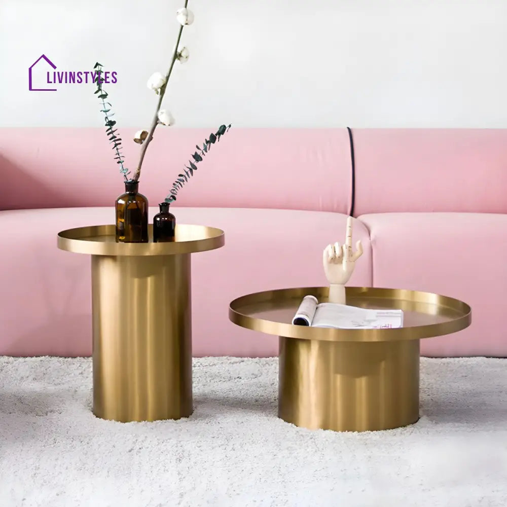 Reyansh Stainless Steel Frame Coffee Table for Living Room