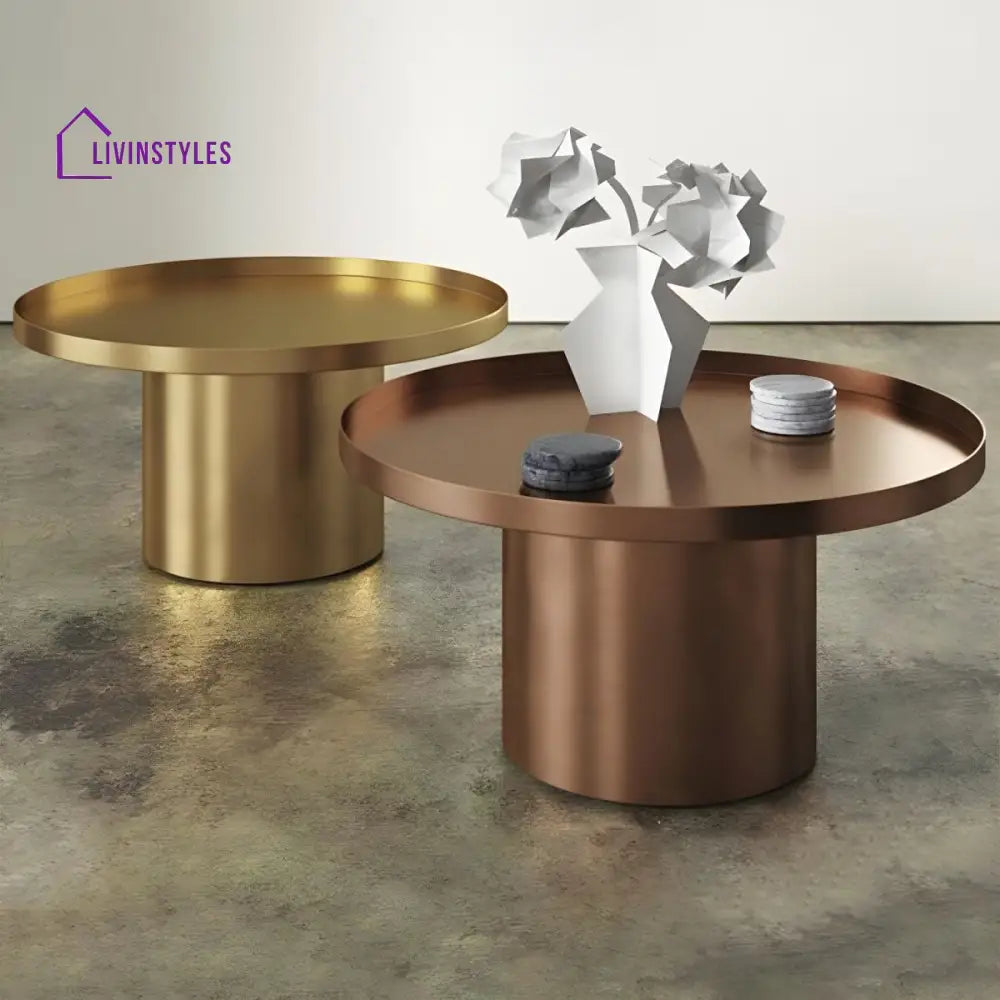 Reyansh Stainless Steel Frame Coffee Table for Living Room