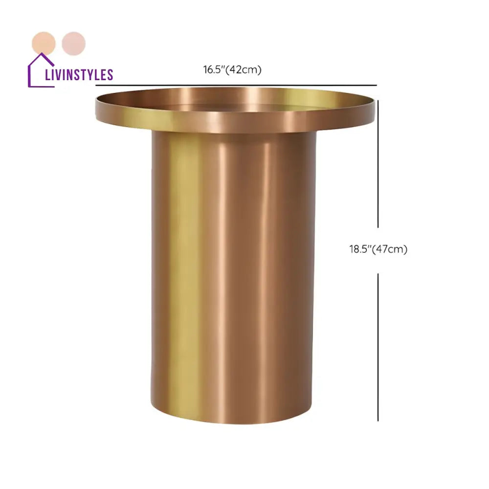Reyansh Stainless Steel Frame Coffee Table for Living Room