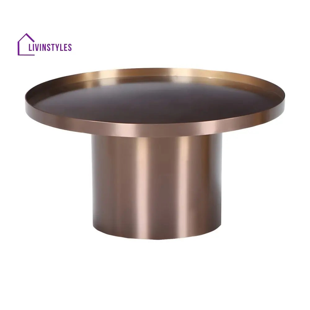 Reyansh Stainless Steel Frame Coffee Table for Living Room