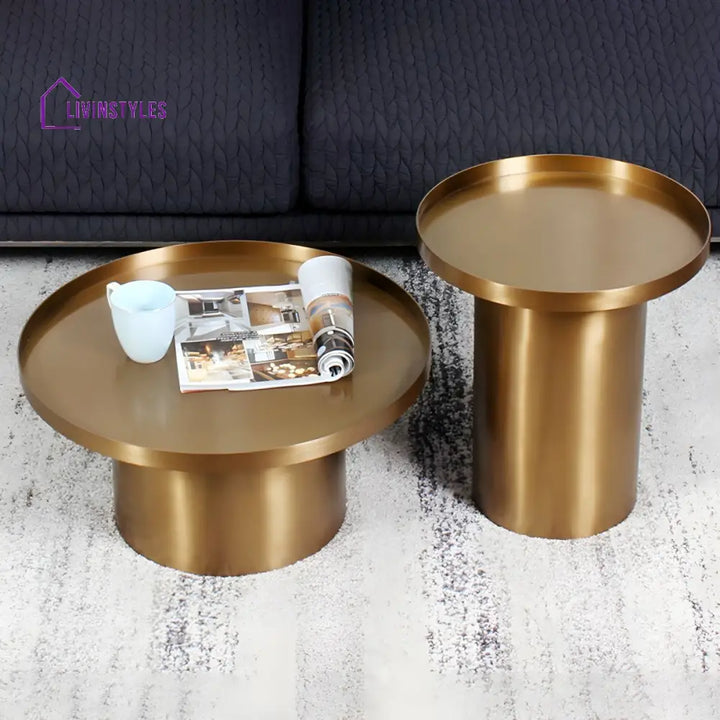Reyansh Stainless Steel Frame Coffee Table for Living Room