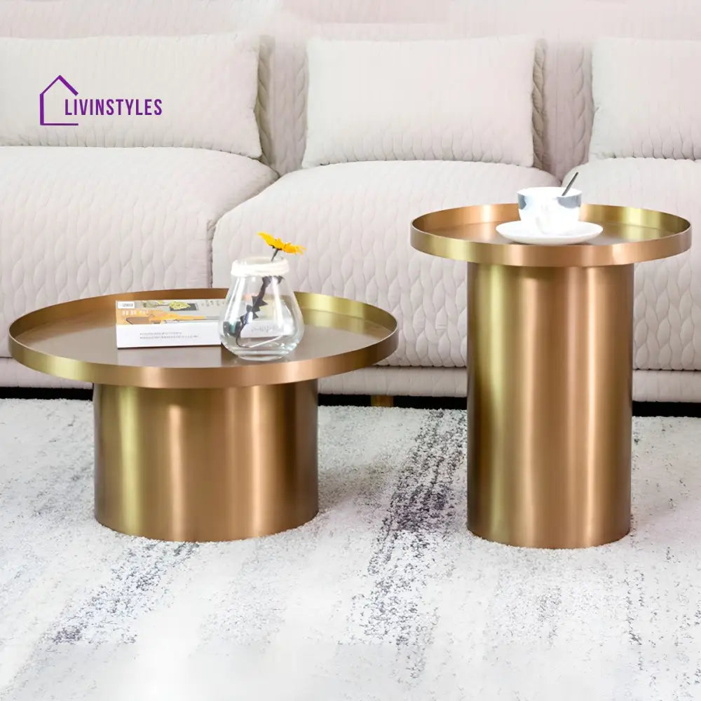 Reyansh Stainless Steel Frame Coffee Table for Living Room