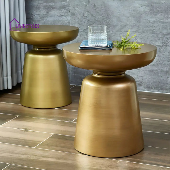 Rian Stainless Steel Coffee Table for Living Room