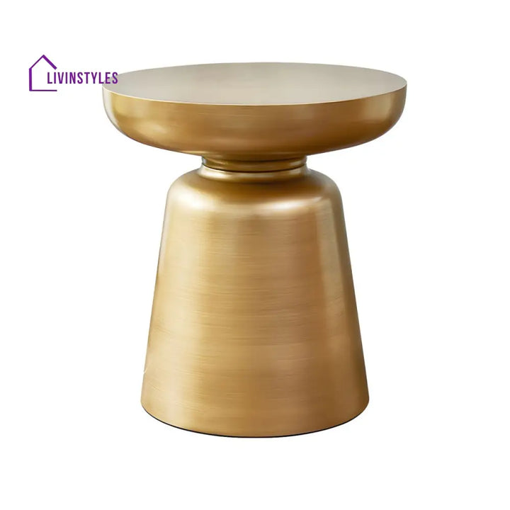 Rian Stainless Steel Coffee Table for Living Room