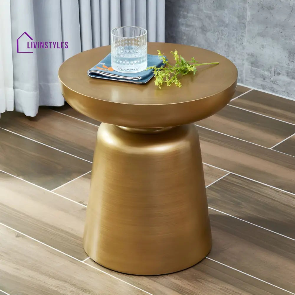 Rian Stainless Steel Coffee Table for Living Room