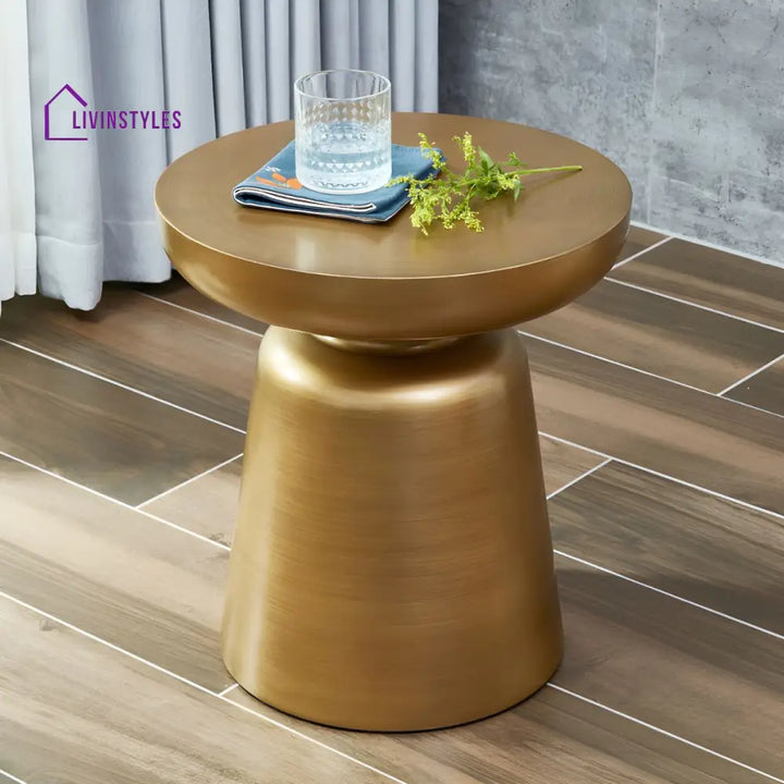 Rian Stainless Steel Coffee Table for Living Room