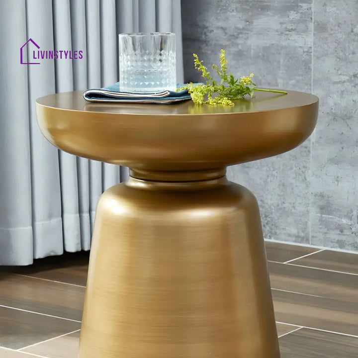 Rian Stainless Steel Coffee Table for Living Room