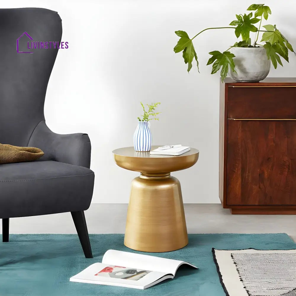 Rian Stainless Steel Coffee Table for Living Room