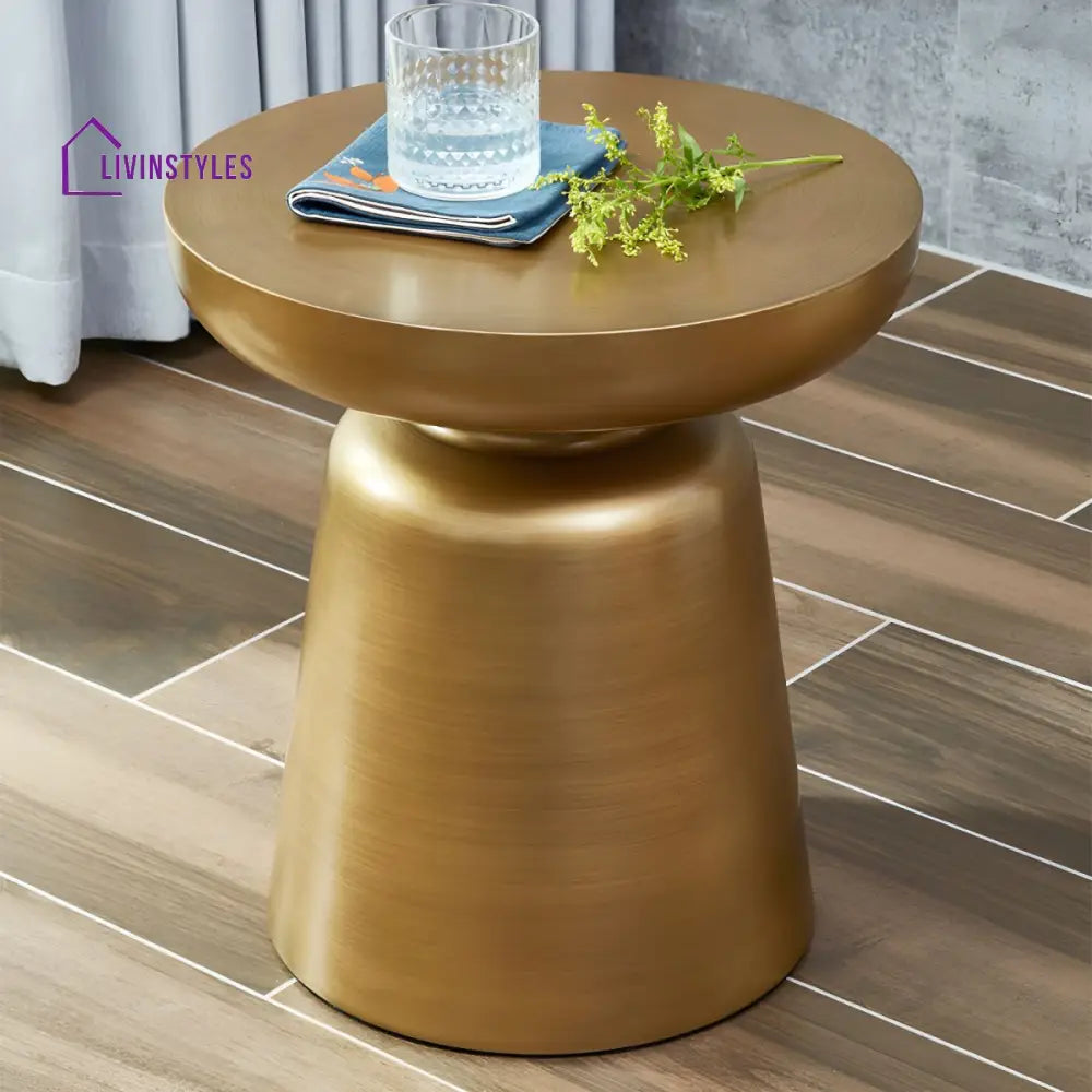 Rian Stainless Steel Coffee Table for Living Room