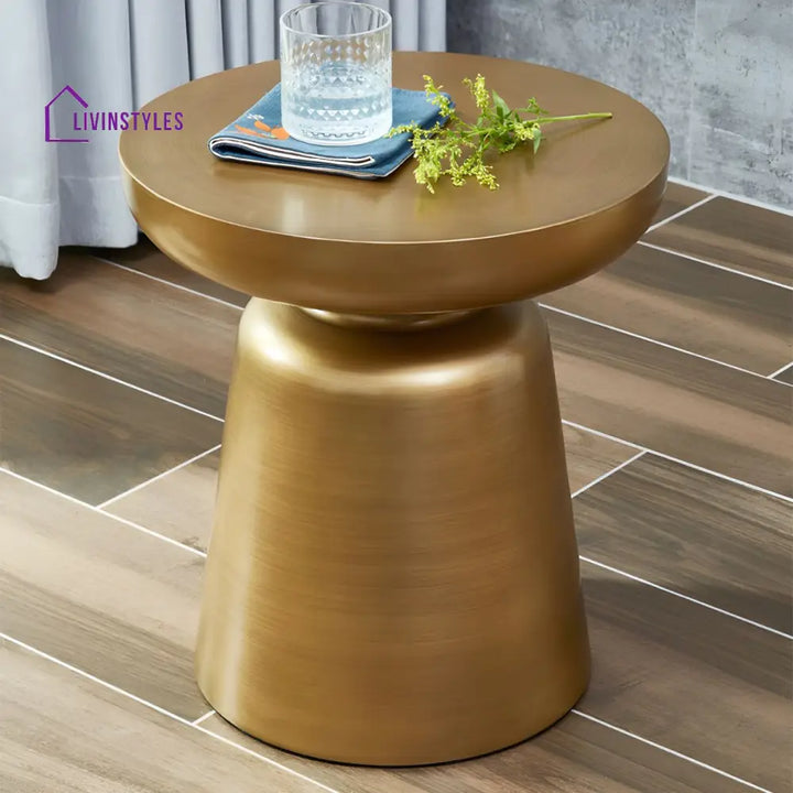Rian Stainless Steel Coffee Table for Living Room