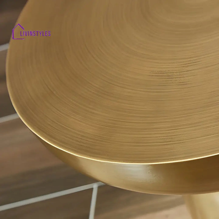 Rian Stainless Steel Coffee Table for Living Room