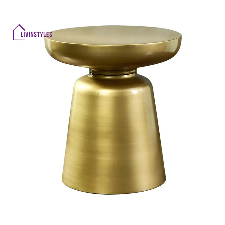 Rian Stainless Steel Coffee Table for Living Room