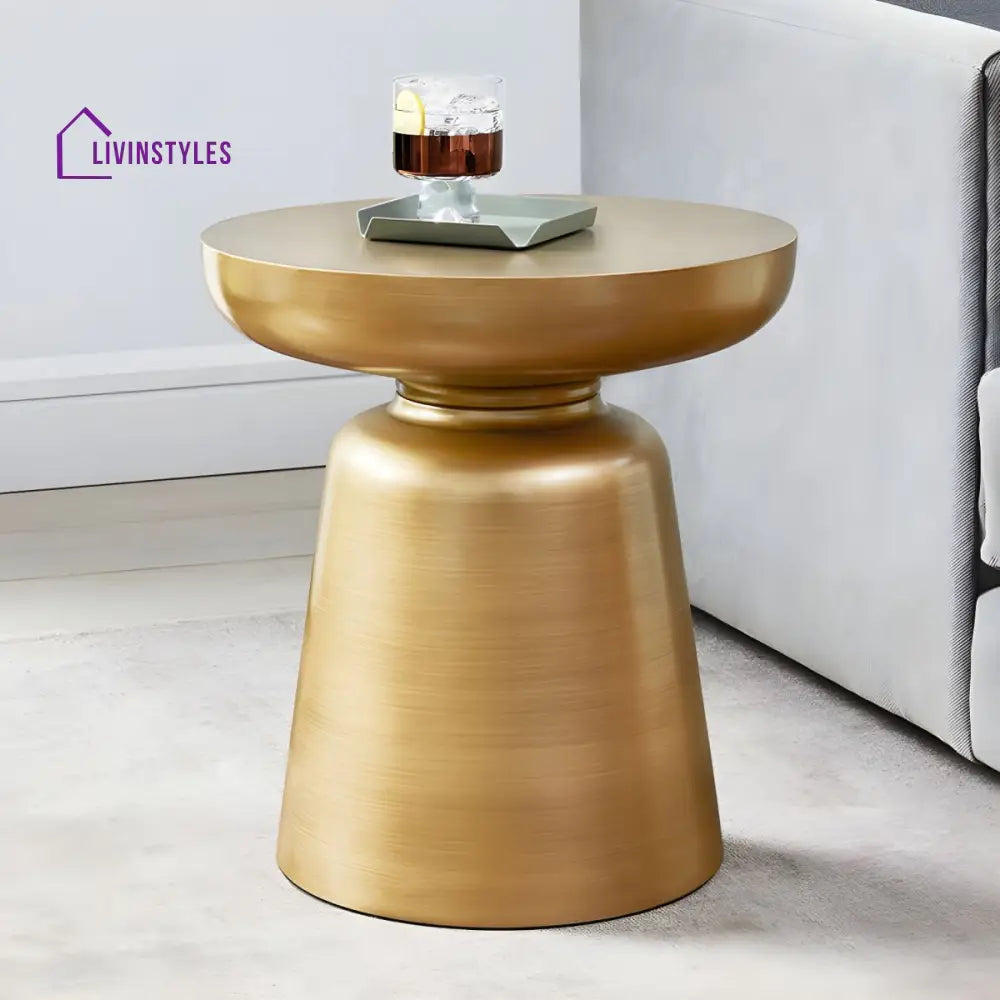 Rian Stainless Steel Coffee Table for Living Room