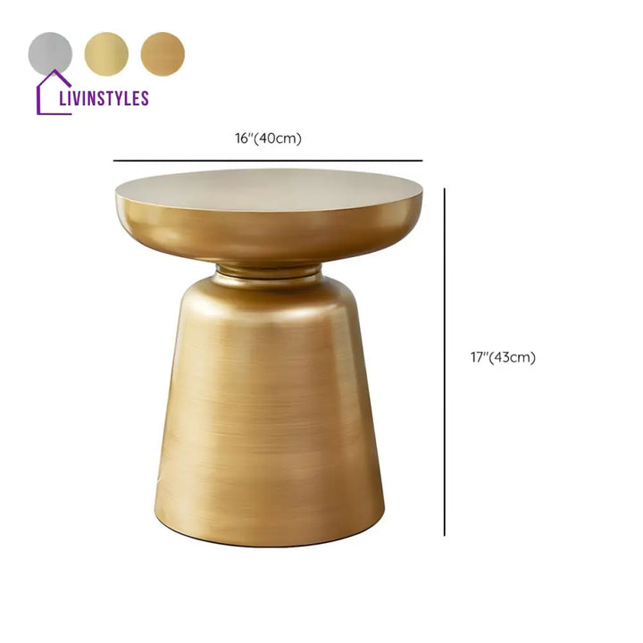 Rian Stainless Steel Coffee Table for Living Room