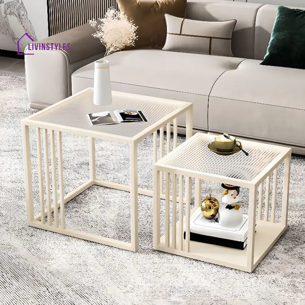 Riddhi Stainless Steel Coffee Table for Living Room