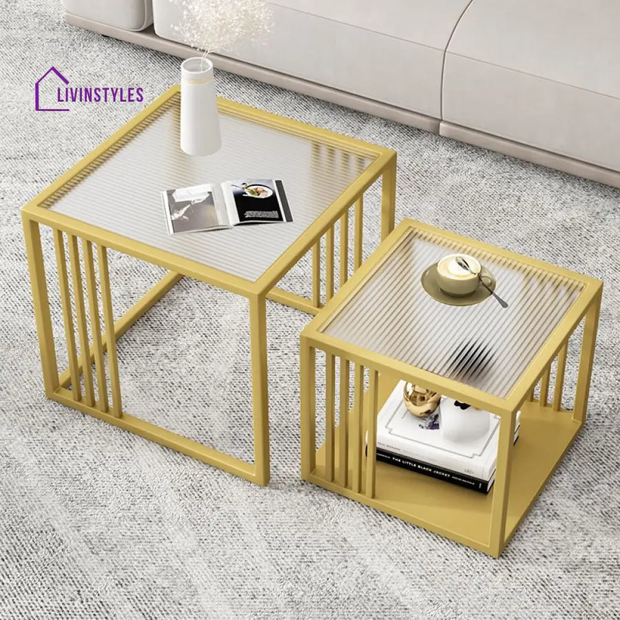Riddhi Stainless Steel Coffee Table for Living Room