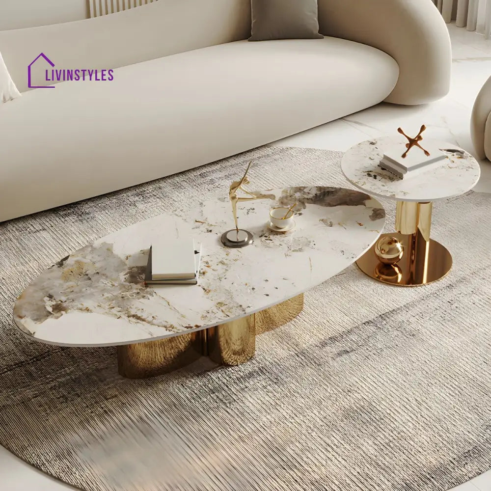 Ridhima Stainless Steel Coffee Table Set for Living Room