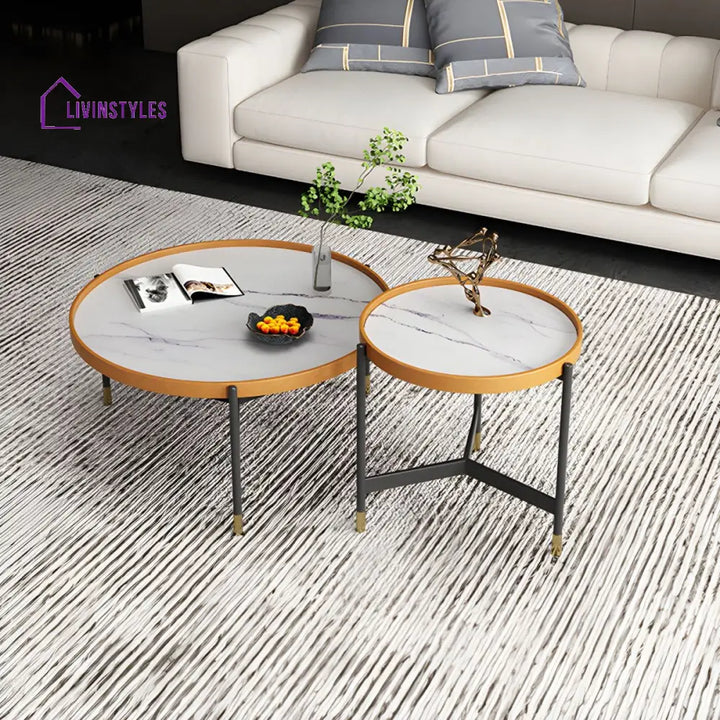 Rishaan Stainless Steel Frame Coffee Table for Living Room
